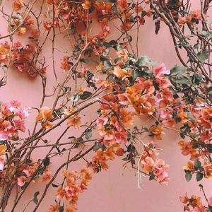 扒开秘书胸罩狂揉嫩白奶头白虎穴
